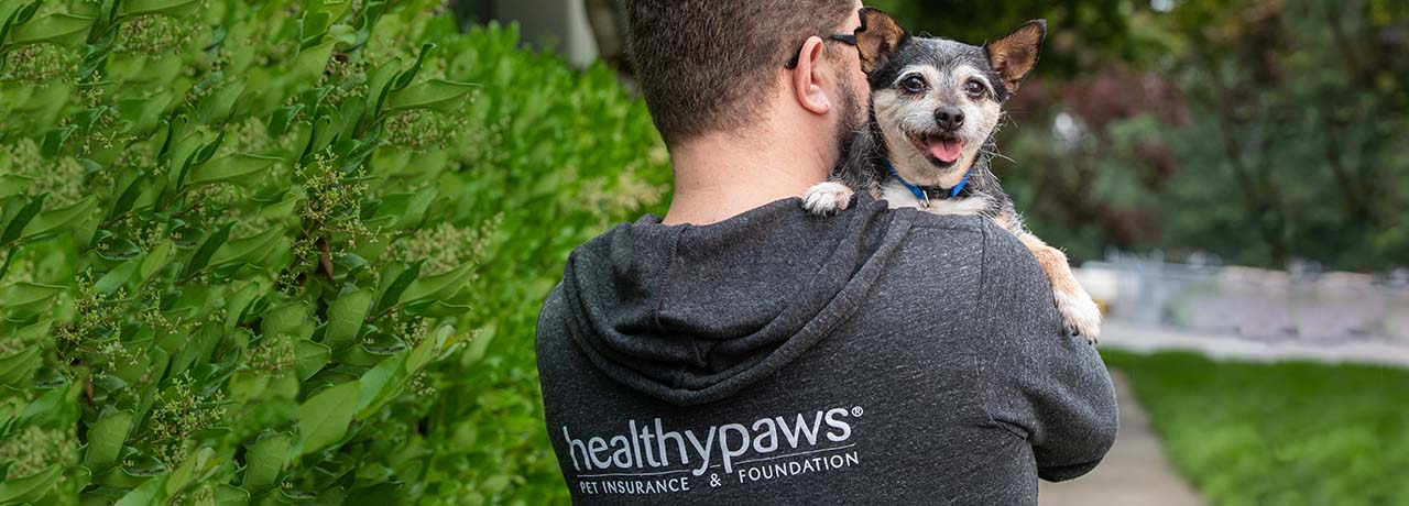 A Healthy Paws team member and his happy mixed breed dog.