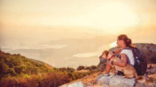 Person and dog enjoying view of mountains