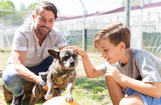 man holding dog while boy pets it