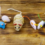 Set of mouses toys for cat on wooden background