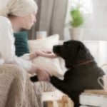 breast cancer patient and dog