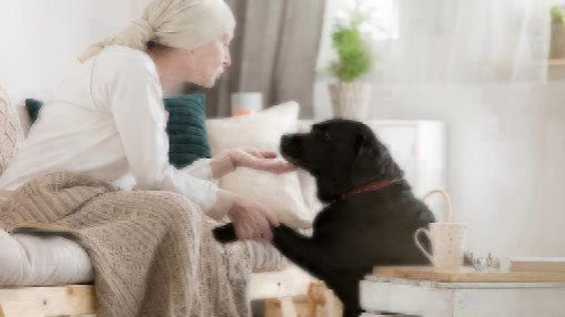 breast cancer patient and dog