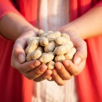 hands with peanuts