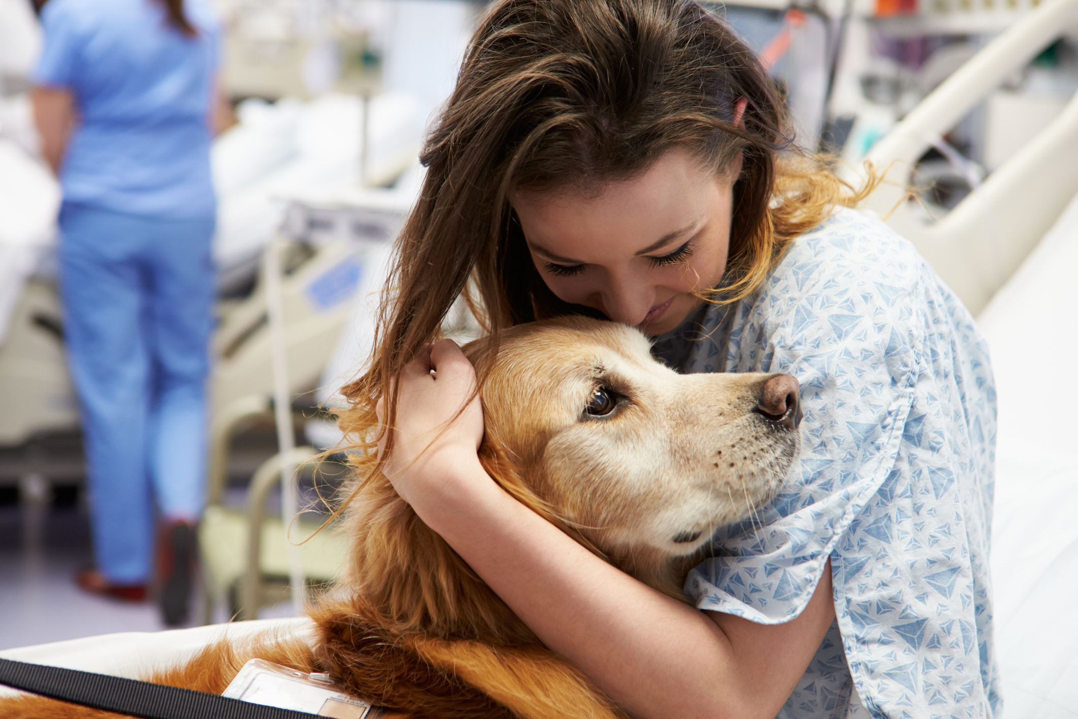 assisted animal therapy dog