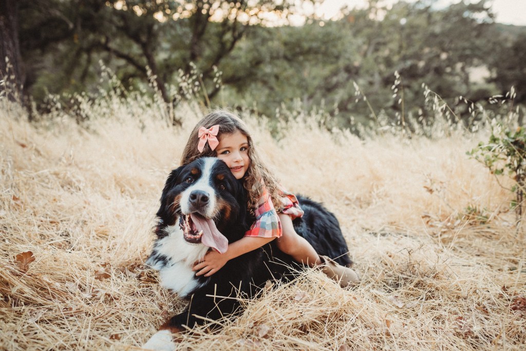 girl hugging bernese mountain dog