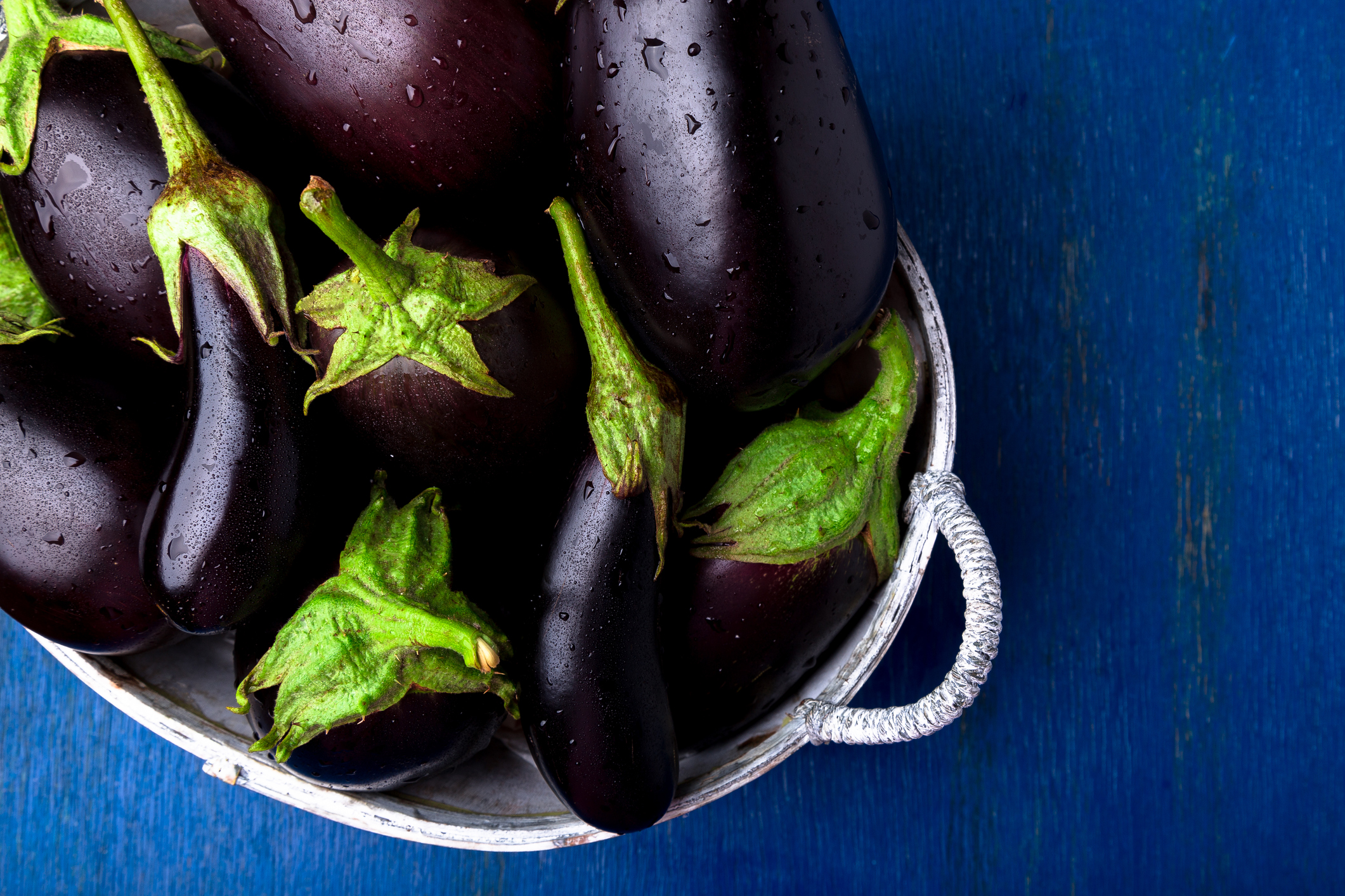 is eggplant safe for dogs