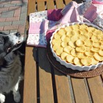 dog pie recipe