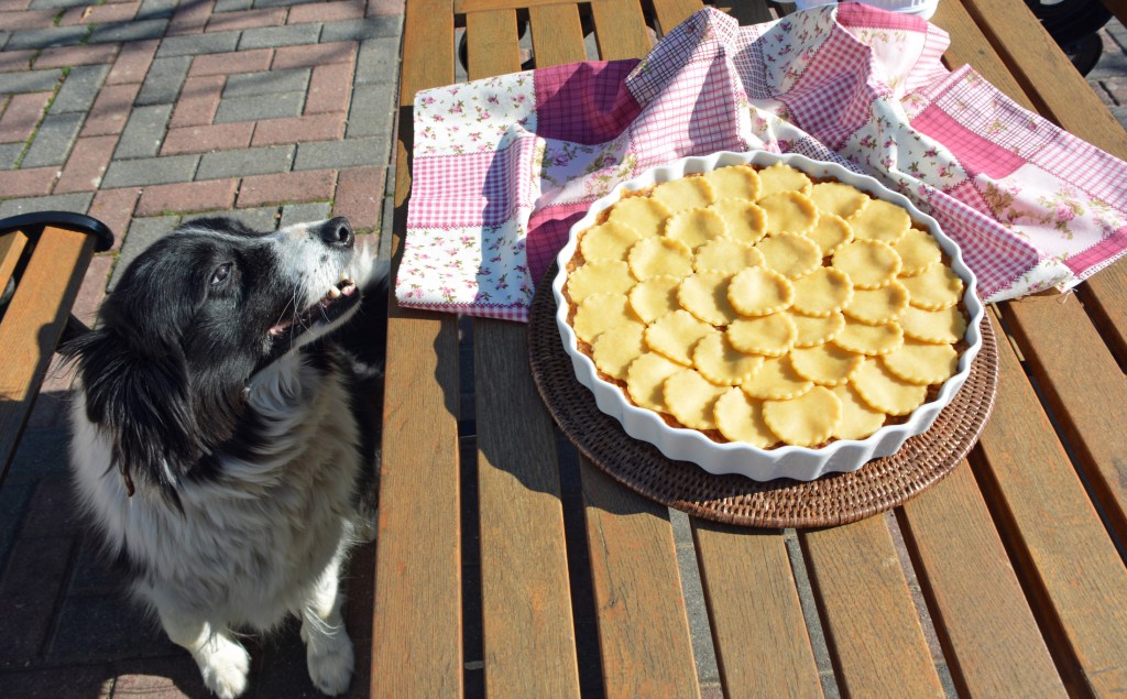 dog pie recipe