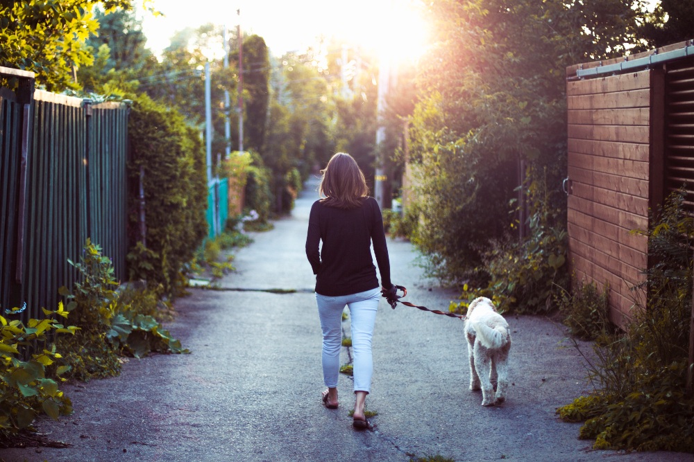 woman walking dog