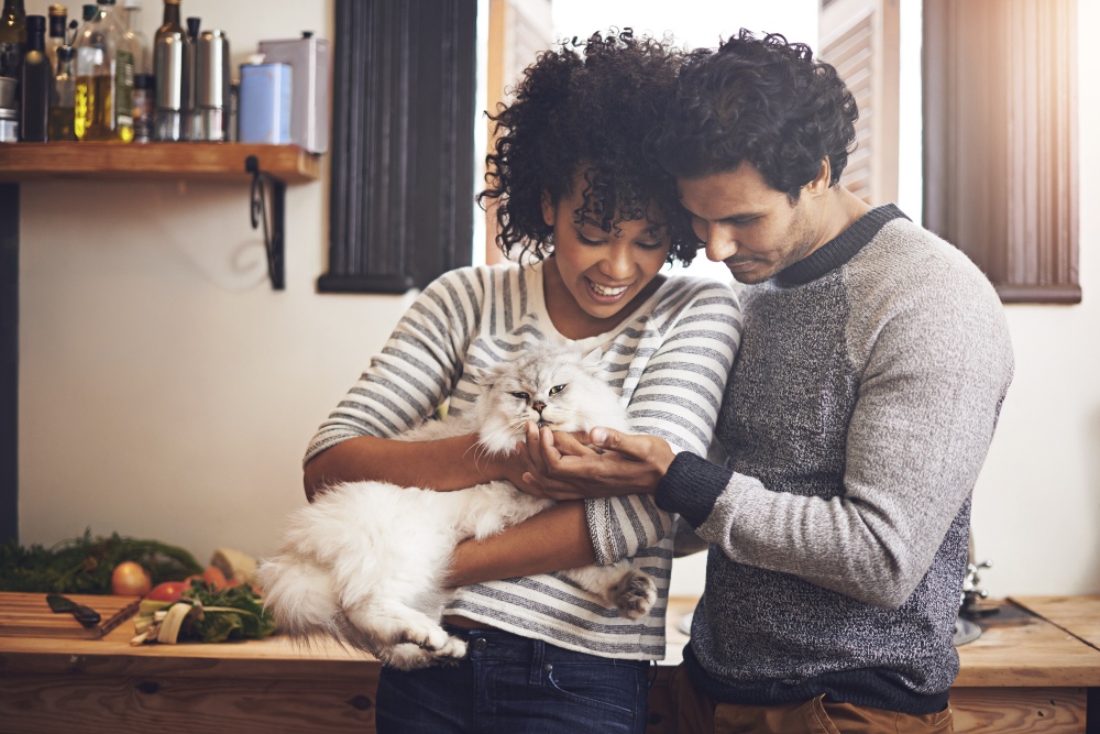 couple holding a cat