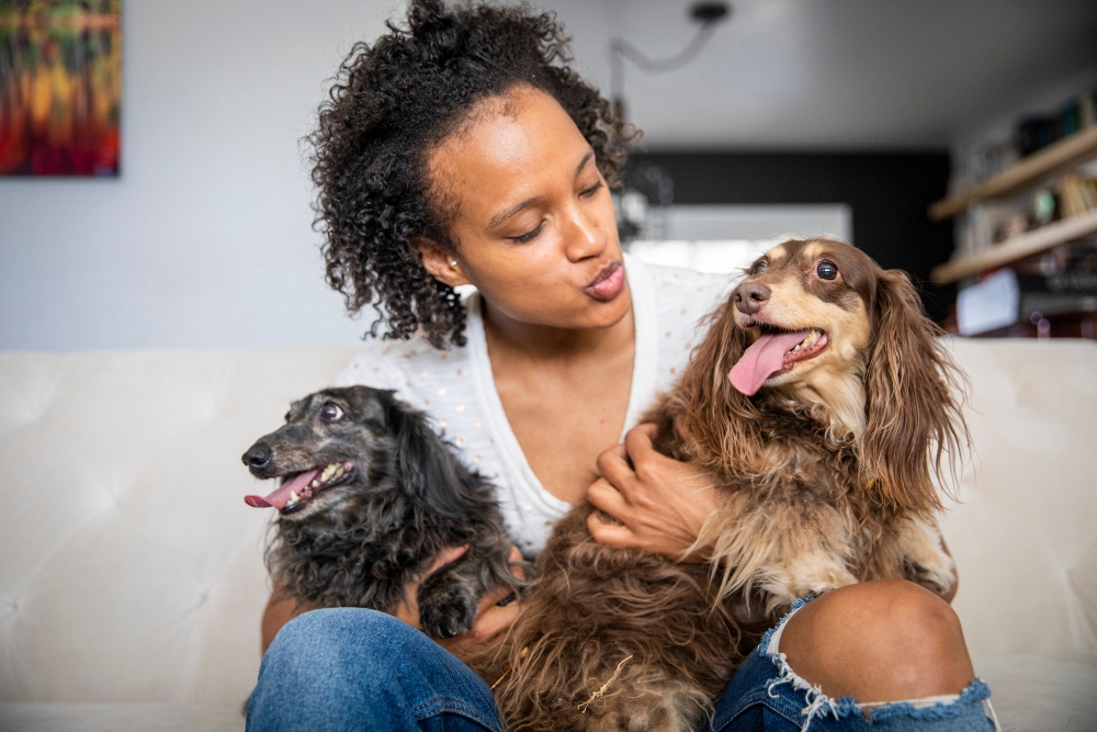 woman with two dogs on couch