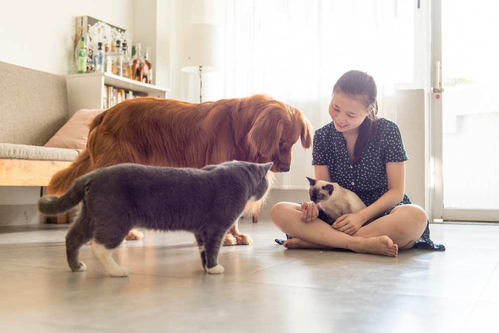 girl with cats and dog