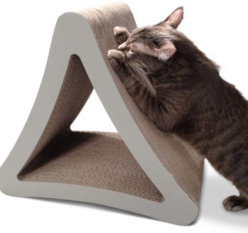 cat scratcher toy