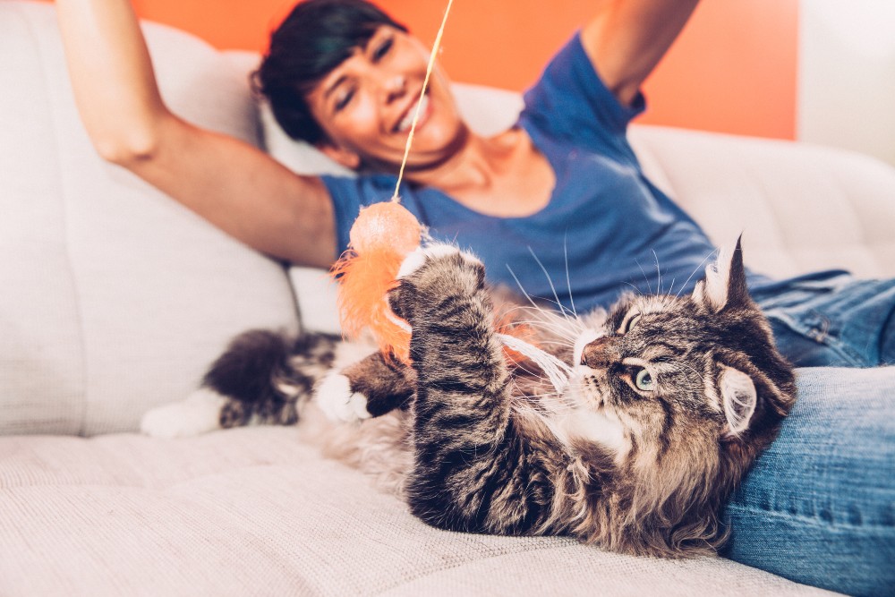 woman playing with cat