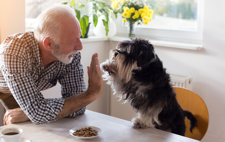 Older person with a dog