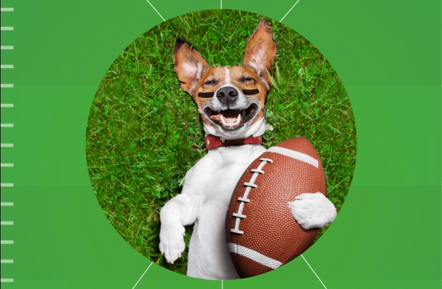 Dog with football