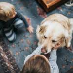 kids and a dog