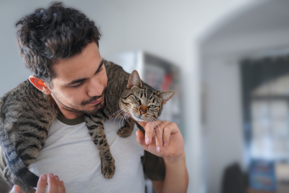 cat on man's shoulders