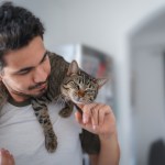 cat on man's shoulders