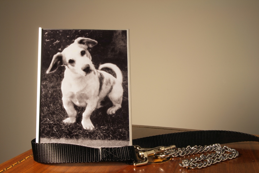 dog picture frame