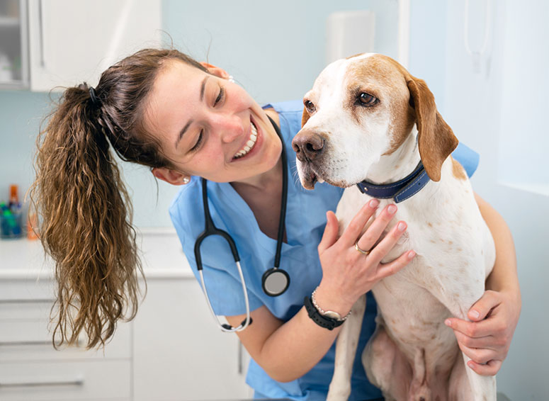 Vet with a dog