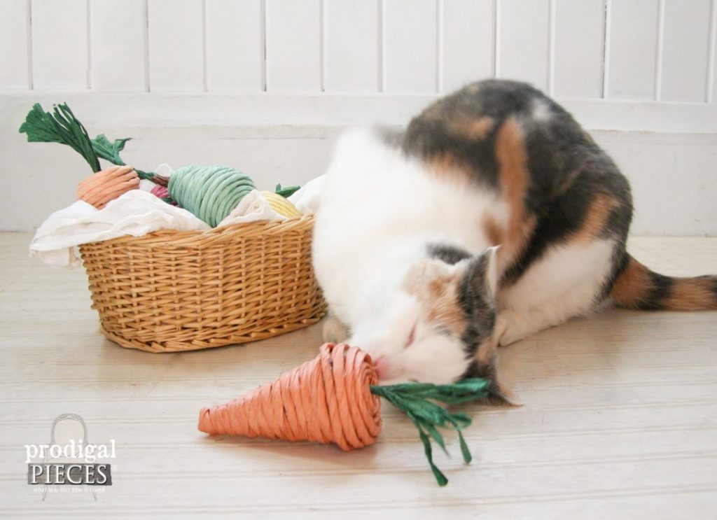 catnip cardboard toys