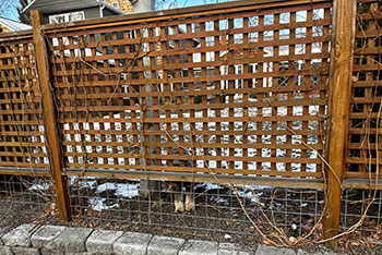 Lattice fence 