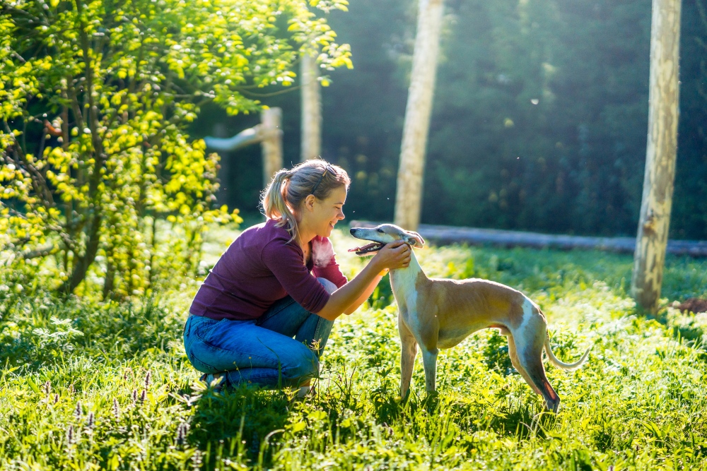 woman and whippet dog outside