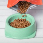 dog food bowl of kibble