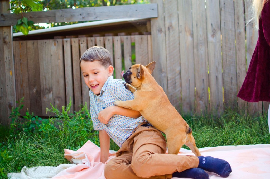 dog jumping on boy