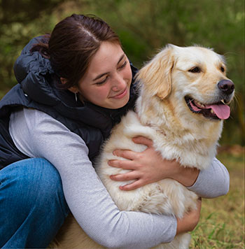 Stevie the Golden getting a hug