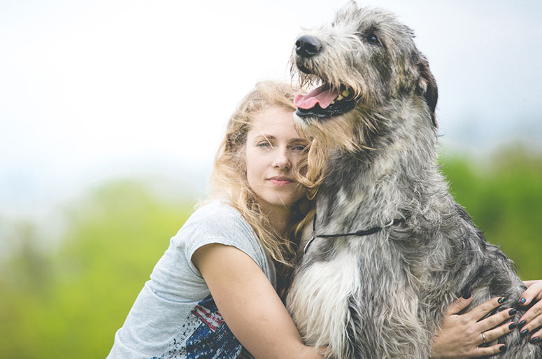 Irish wolfhound