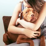 Woman hugging dog