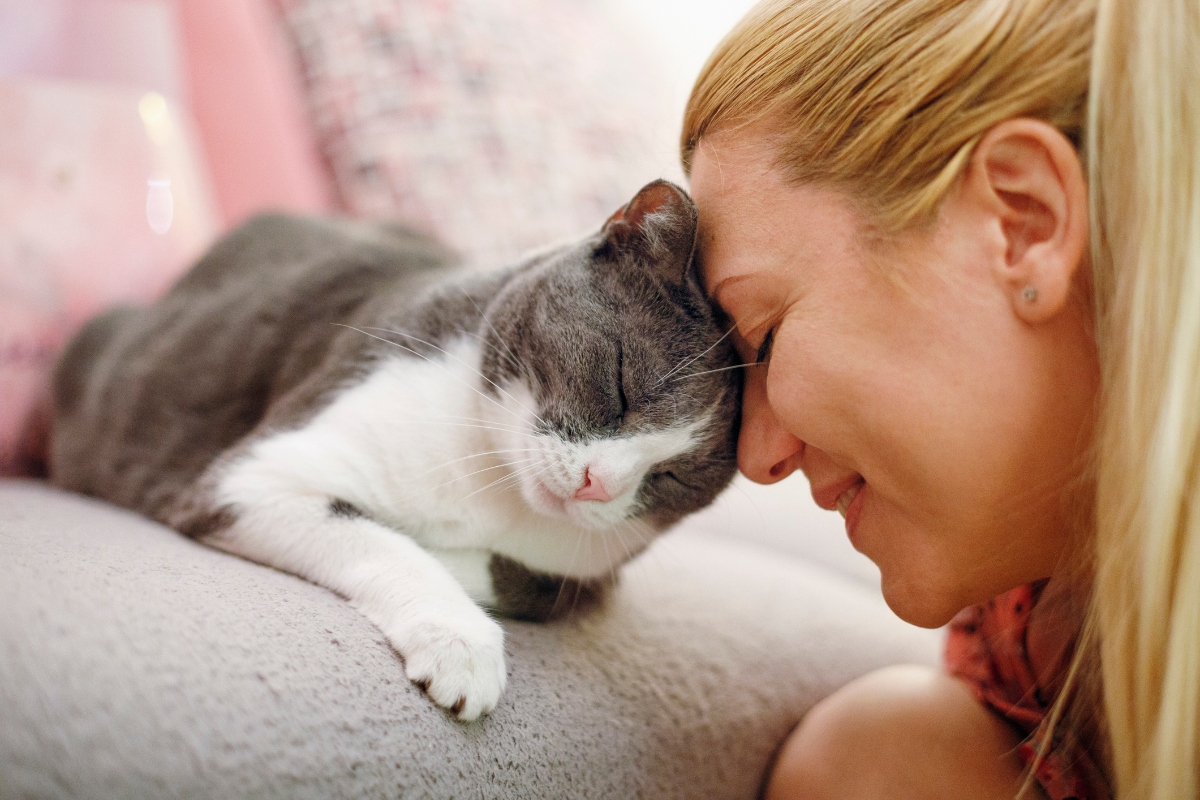 woman pressing head up to cat's head