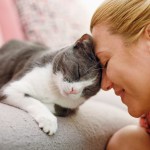 woman pressing head up to cat's head