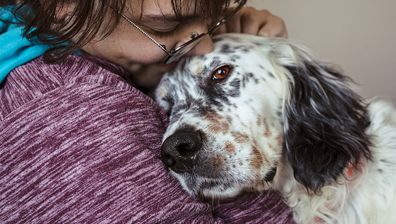 English Setter with woman