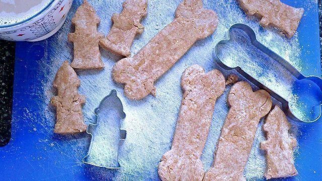 dog biscuits