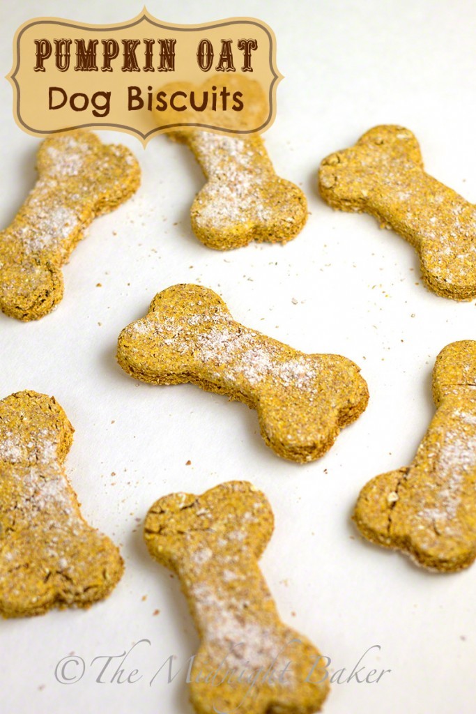 dog biscuit recipe