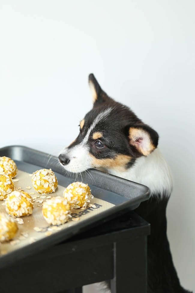 peanut butter dog treats