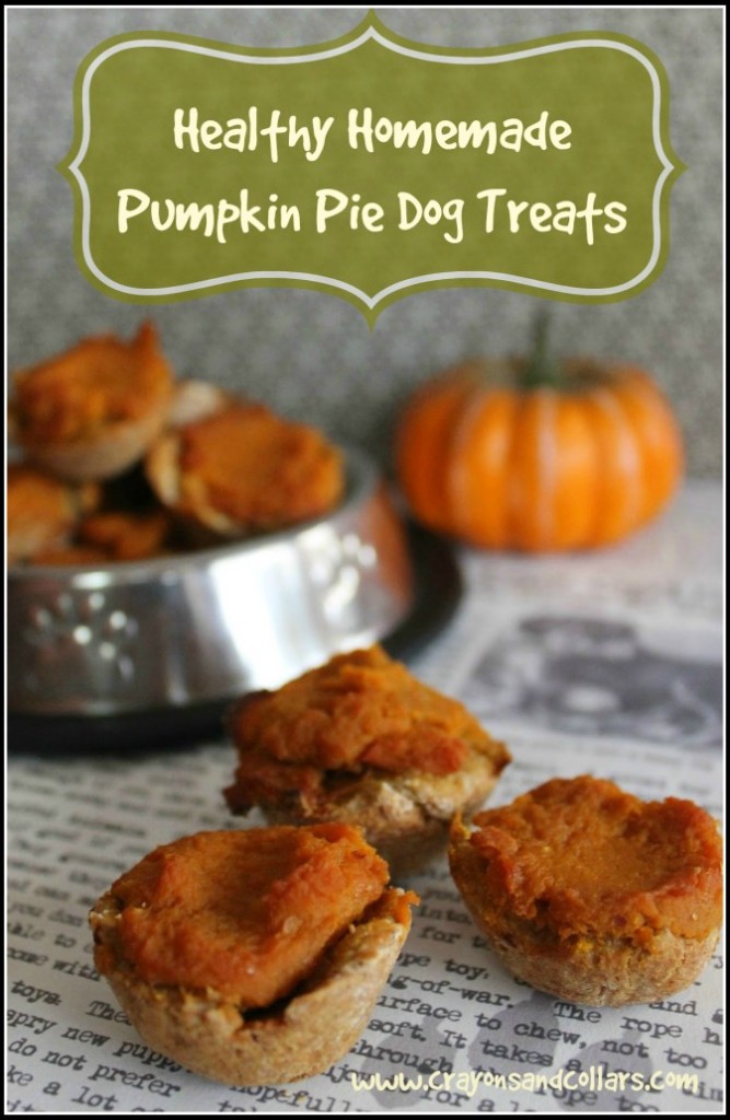 Dog treat recipes