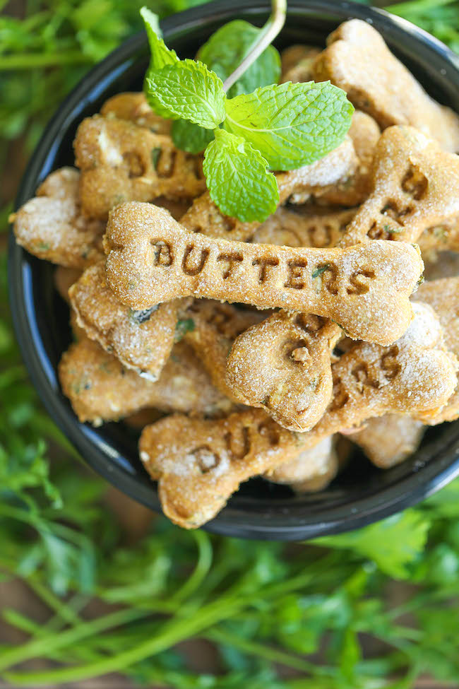 Dog treat recipes