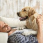 best dogs for apartments