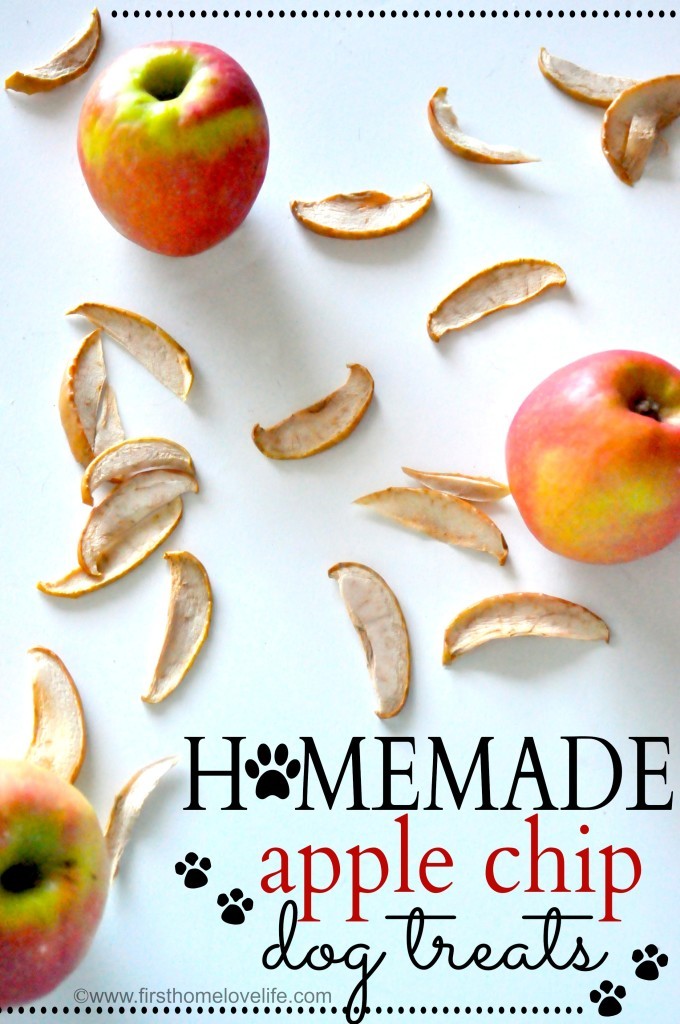 apple dog treat recipe