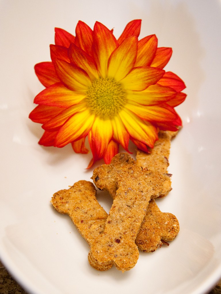 apple dog treat recipe