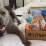 bullymake box