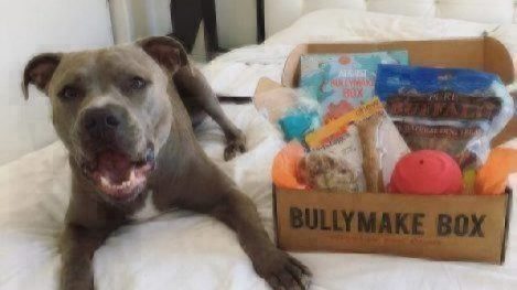 bullymake box