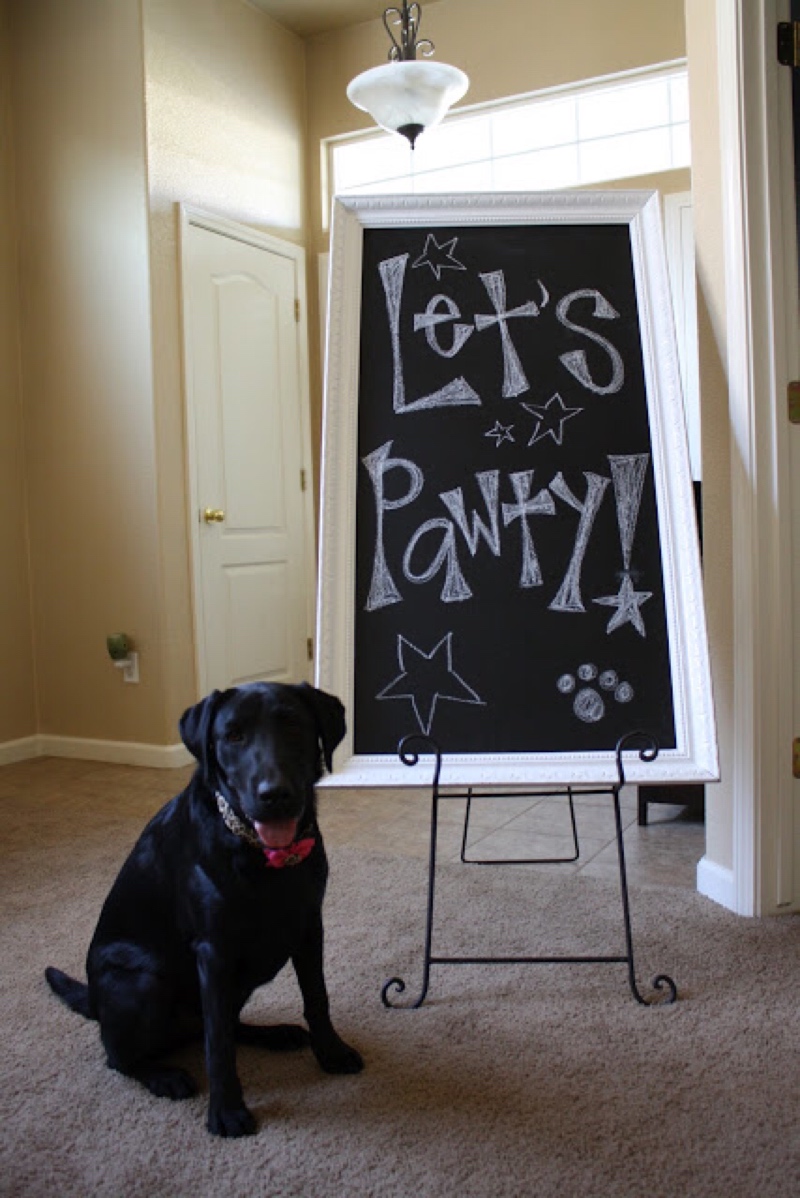 dog birthday party