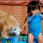 dog_breeds_kids_640x420.jpg