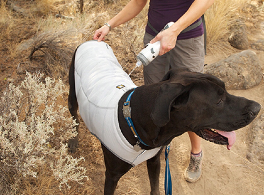 dog clothes cooling vest