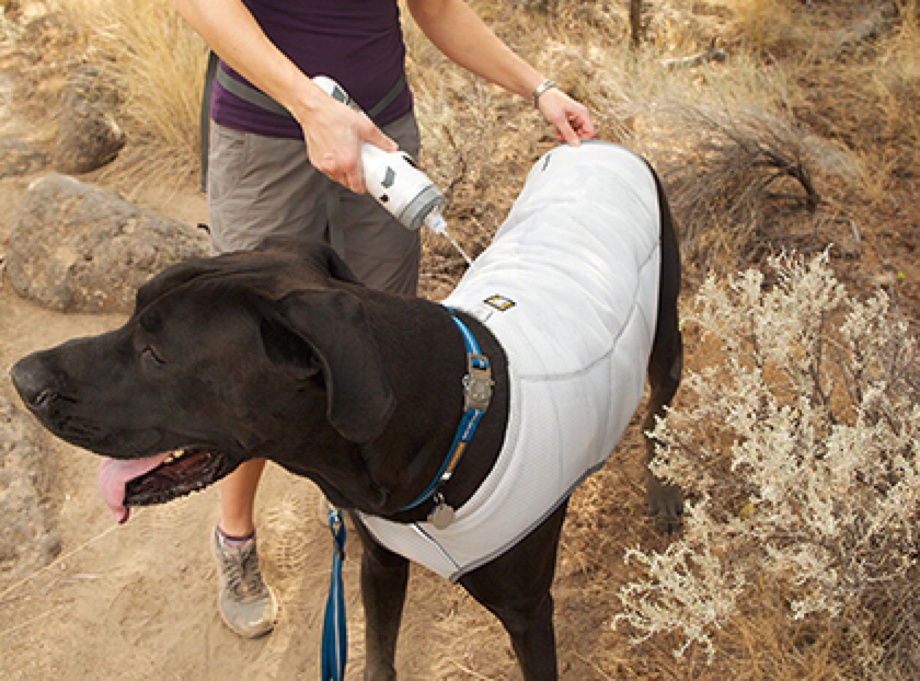 dog cooling vest